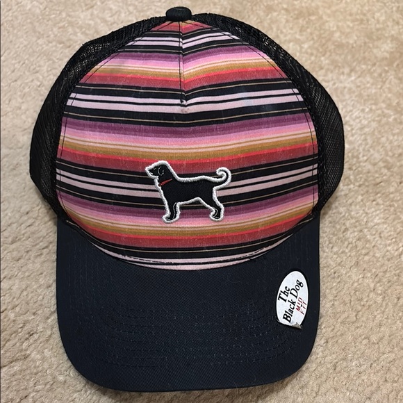 ‼️NWT‼️The Black Dog hat. - Picture 1 of 5